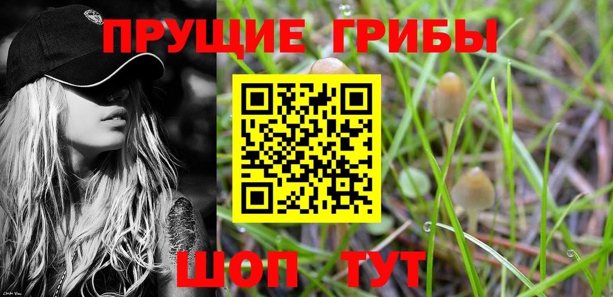 Малоярославец  Псилоцибиновые грибы мухоморы  Вход с VPN  Псилоцибиновые грибы Psilocybe 