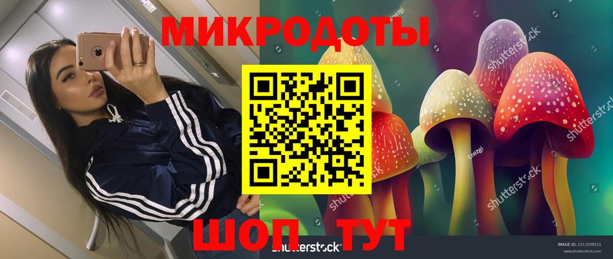 Галлюциногенные грибы ЛСД Малоярославец